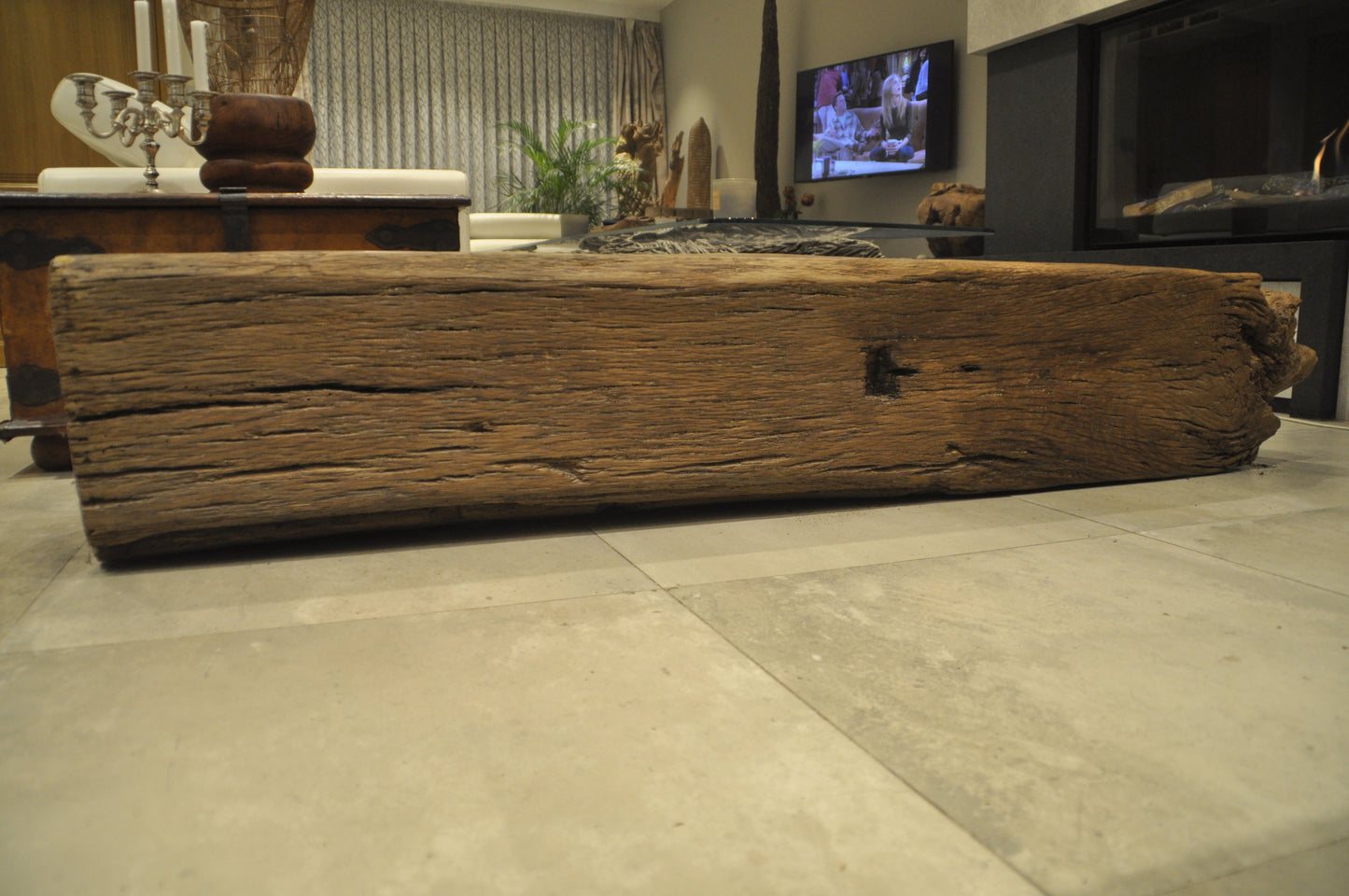 Old oak log