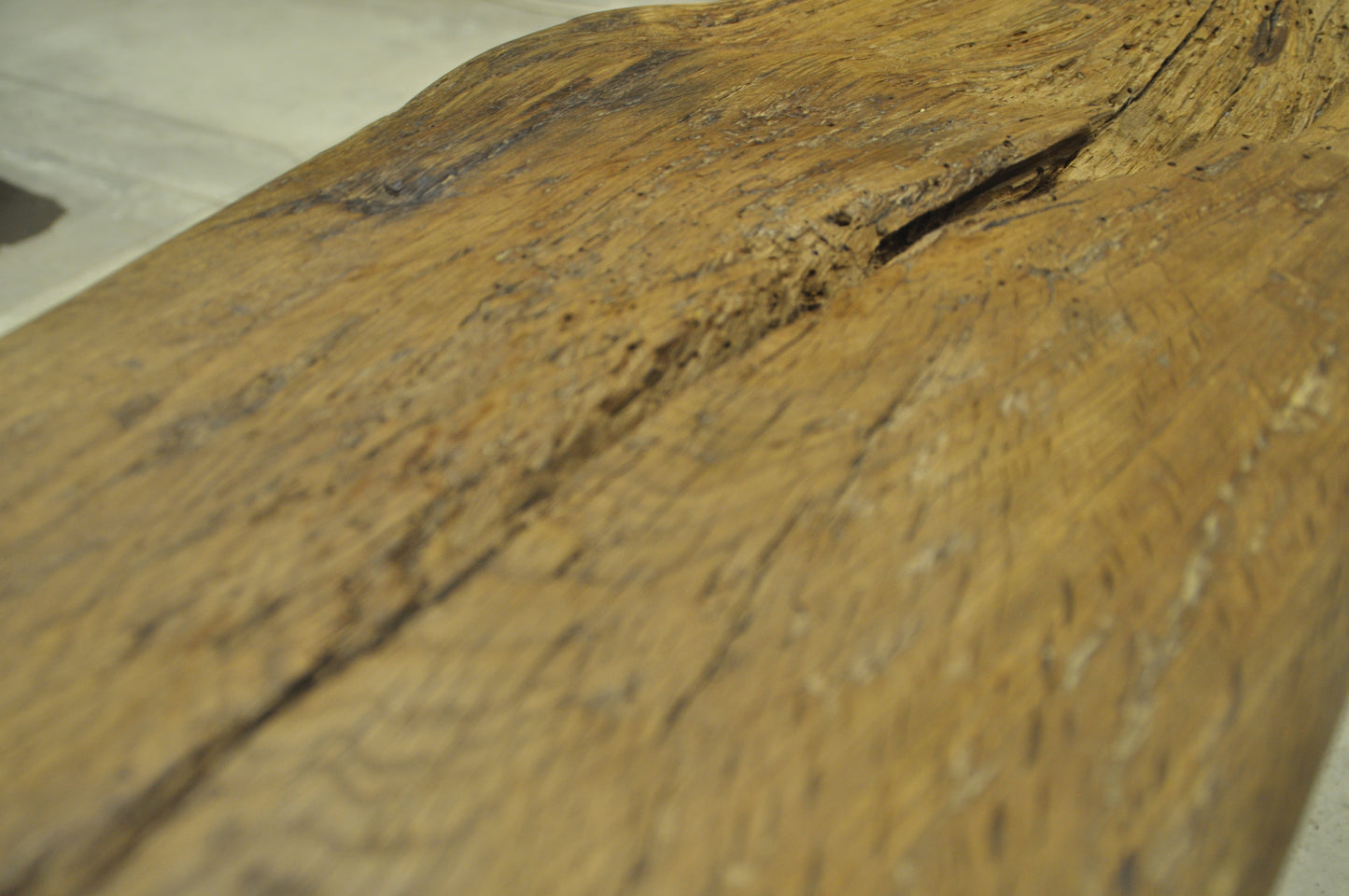 Old oak log