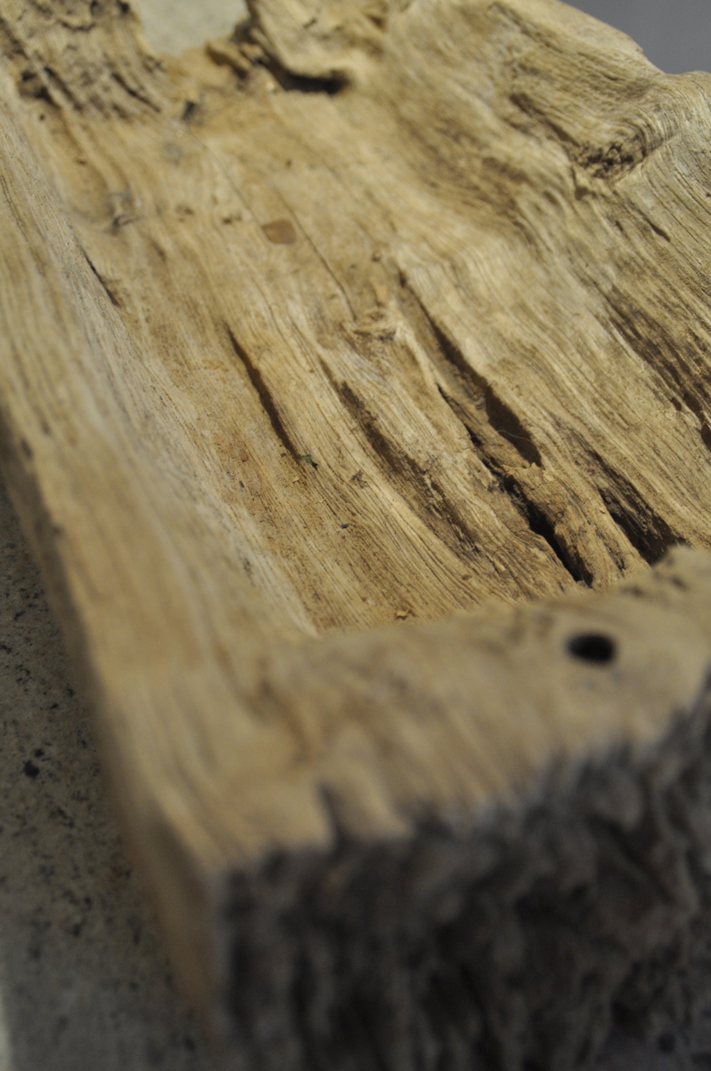 Tropical wooden mortar