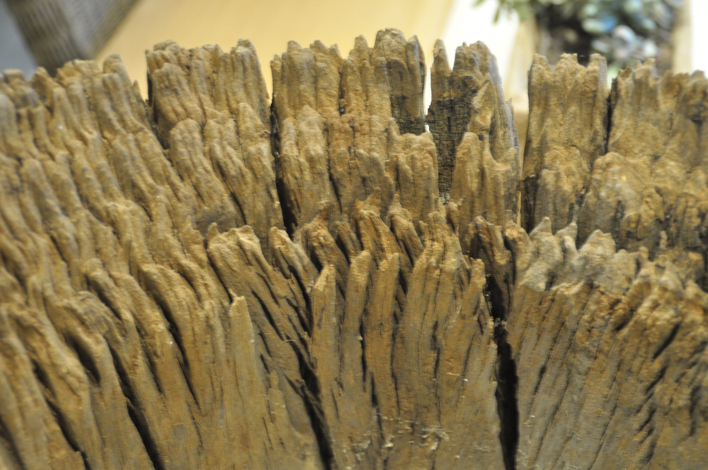 Erosionized teak