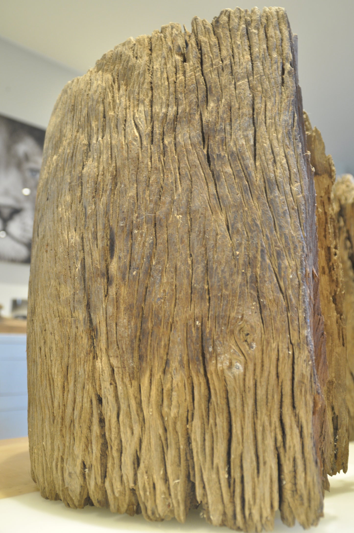 Erosionized teak