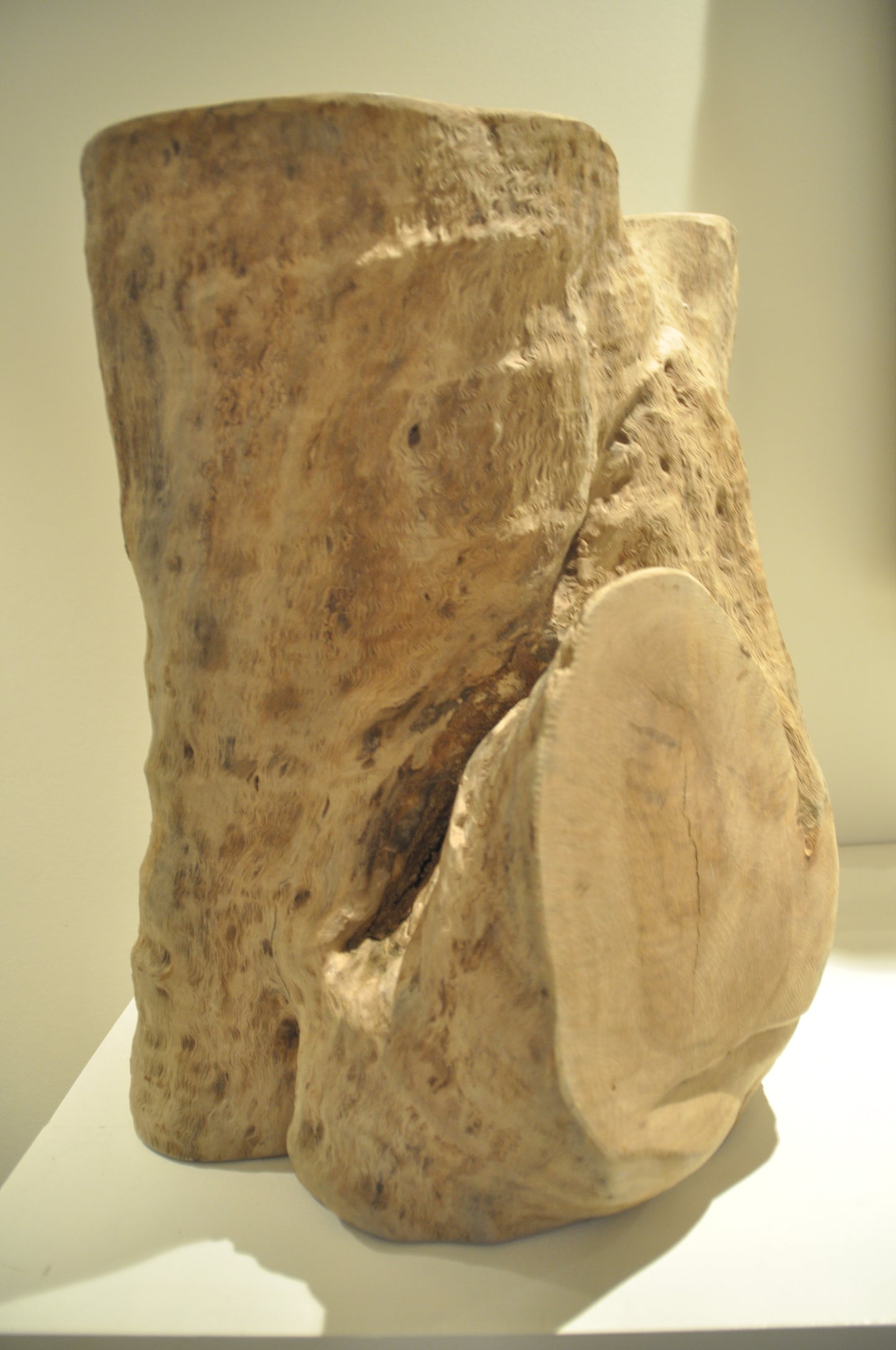 Ancient Tropical hardwood structure