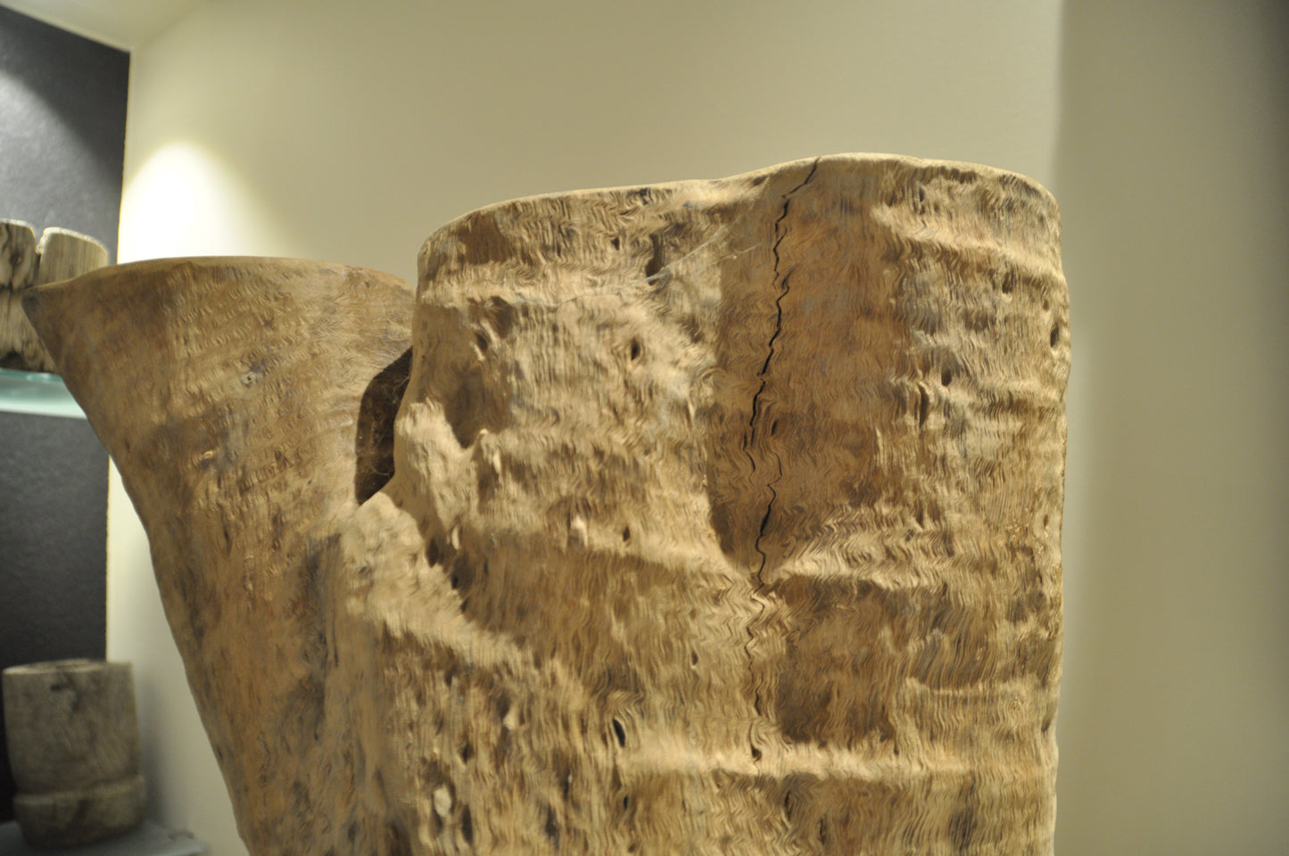 Ancient Tropical hardwood structure