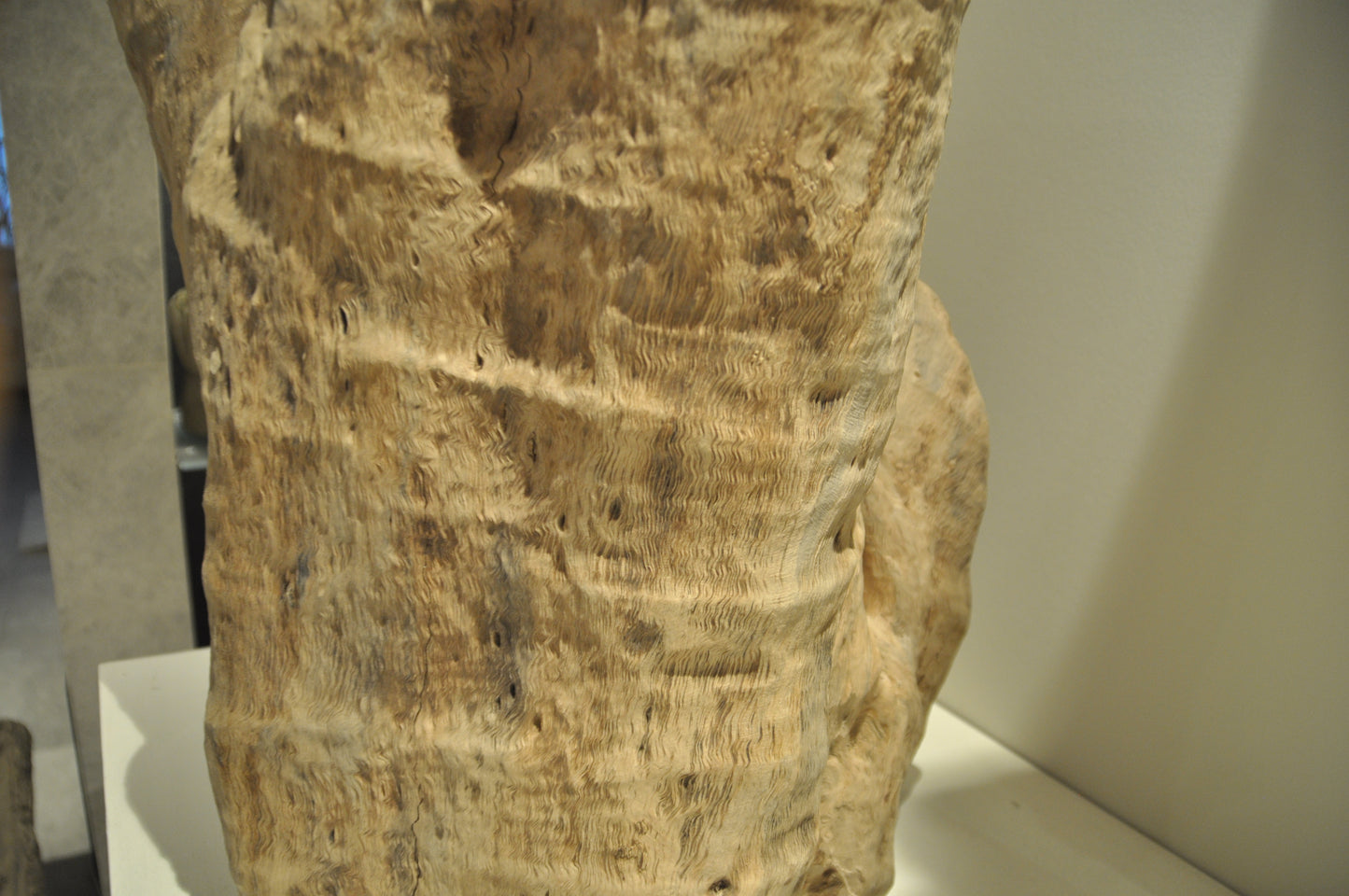 Ancient Tropical hardwood structure