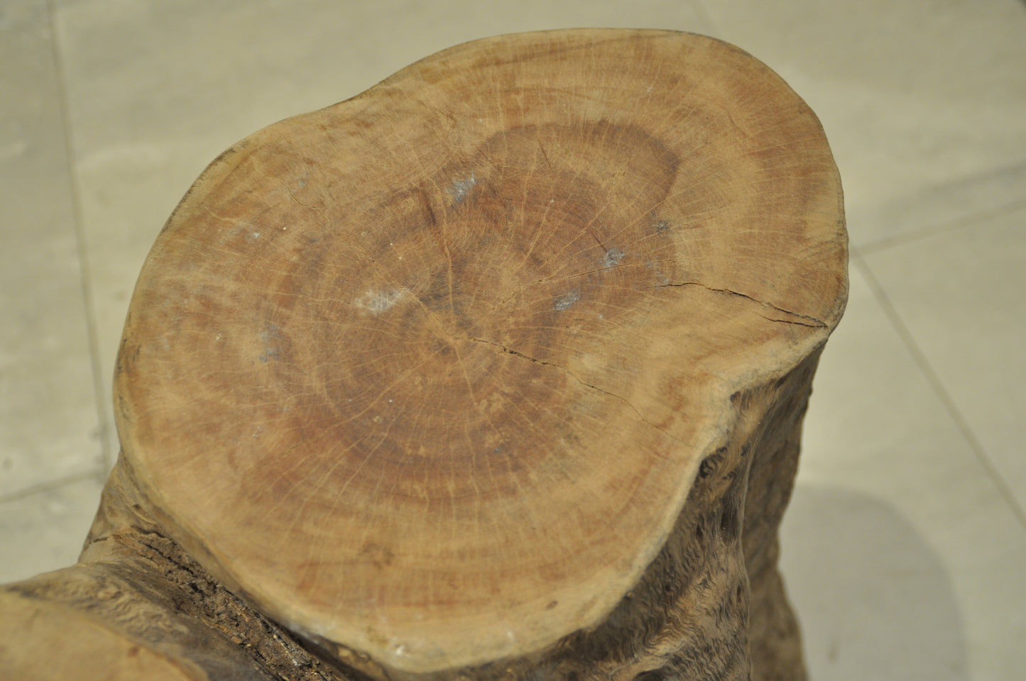 Ancient Tropical hardwood structure