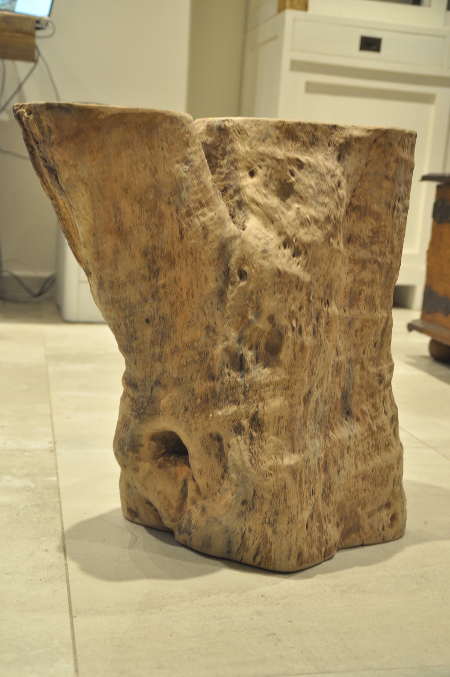 Ancient Tropical hardwood structure