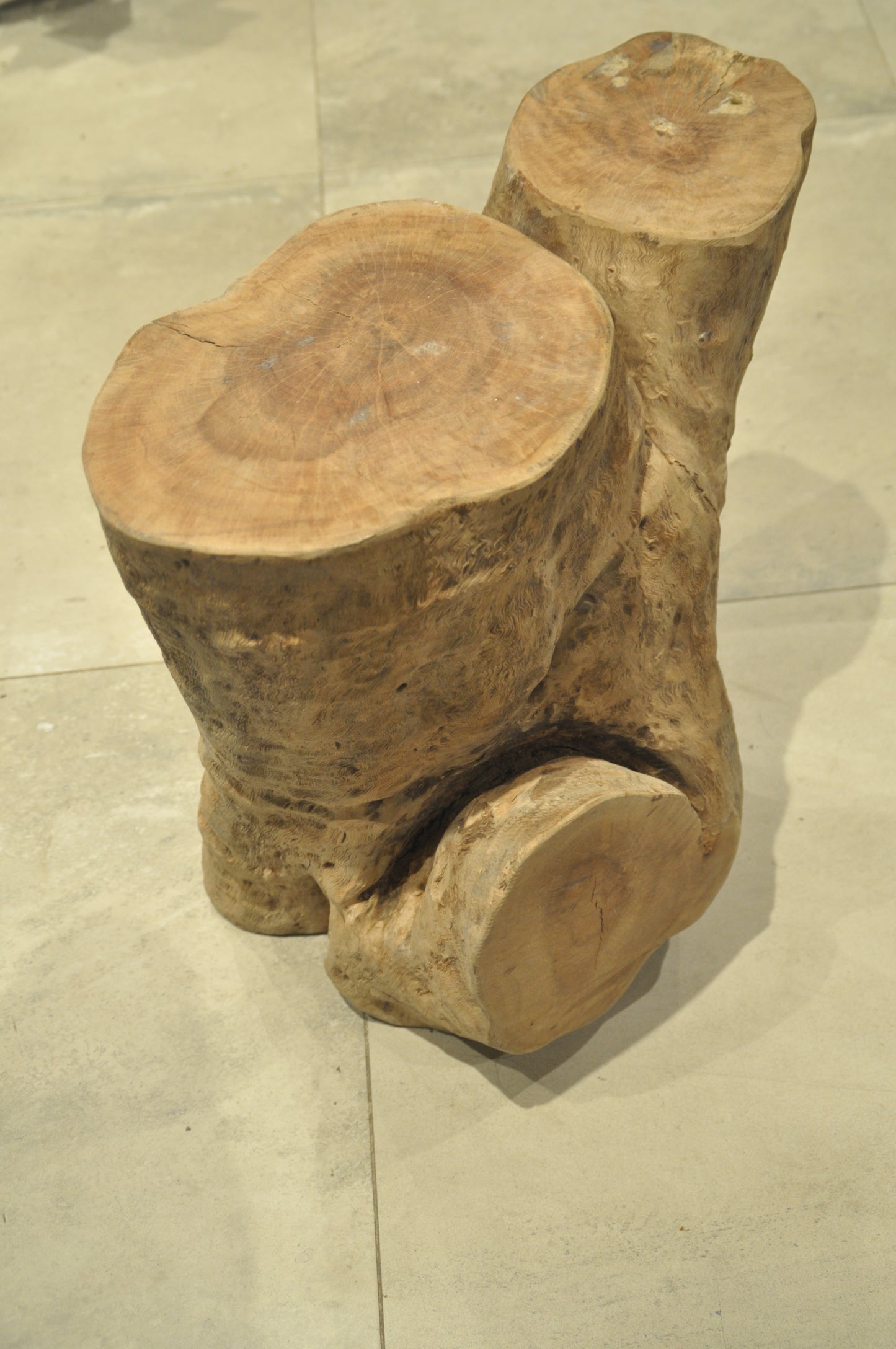 Ancient Tropical hardwood structure