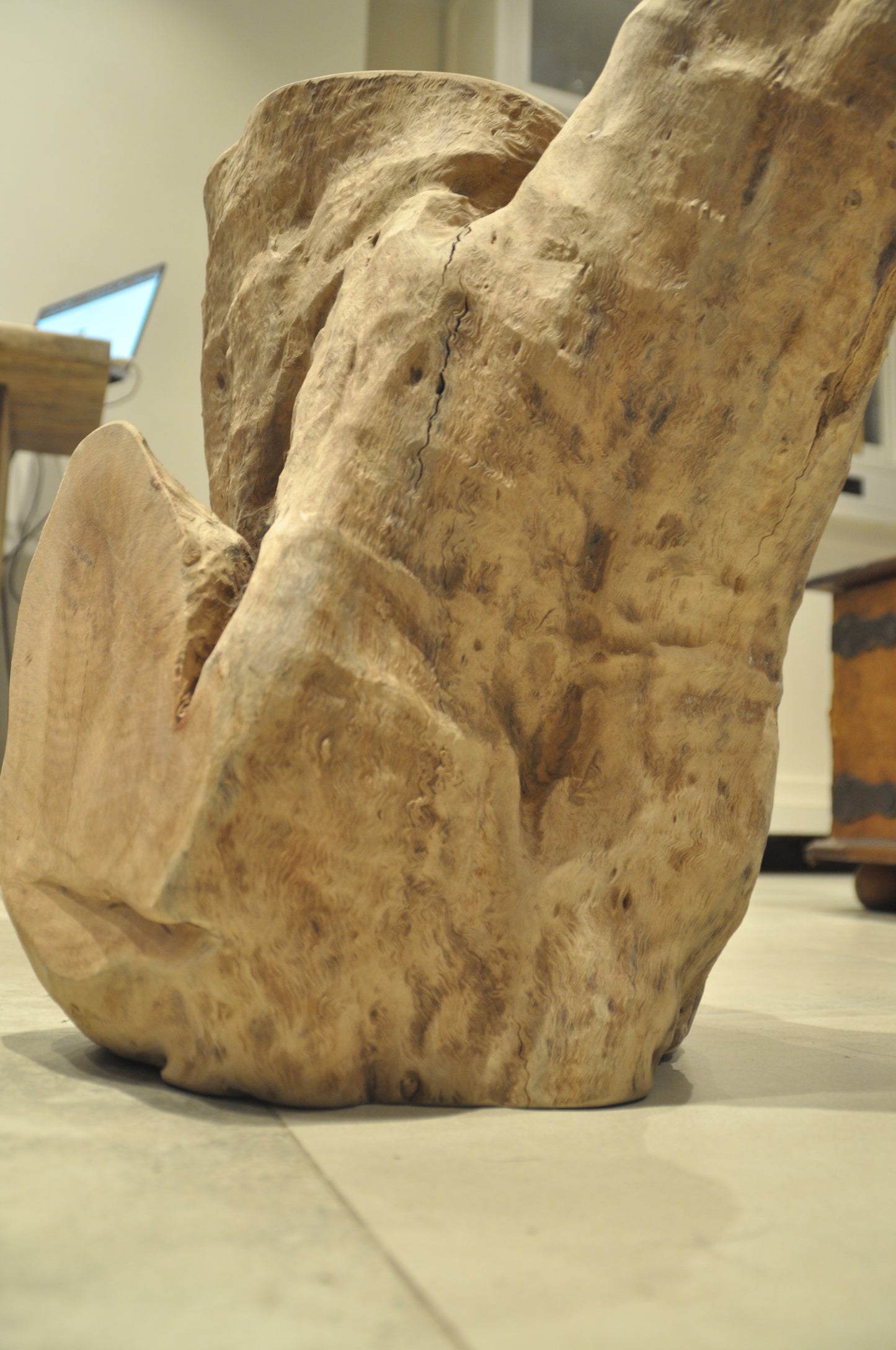 Ancient Tropical hardwood structure
