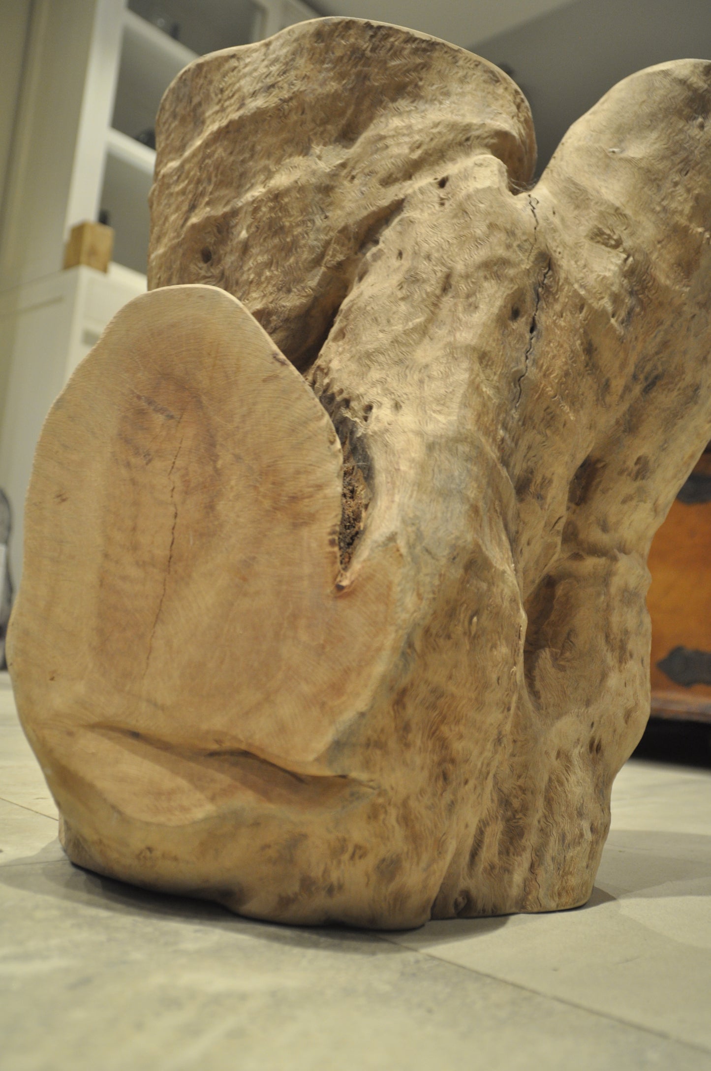 Ancient Tropical hardwood structure