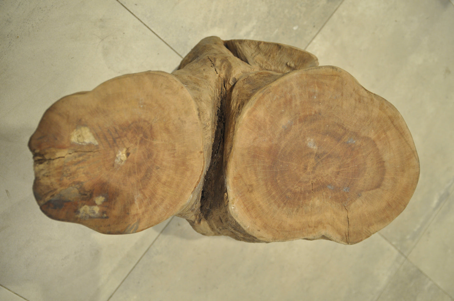 Ancient Tropical hardwood structure