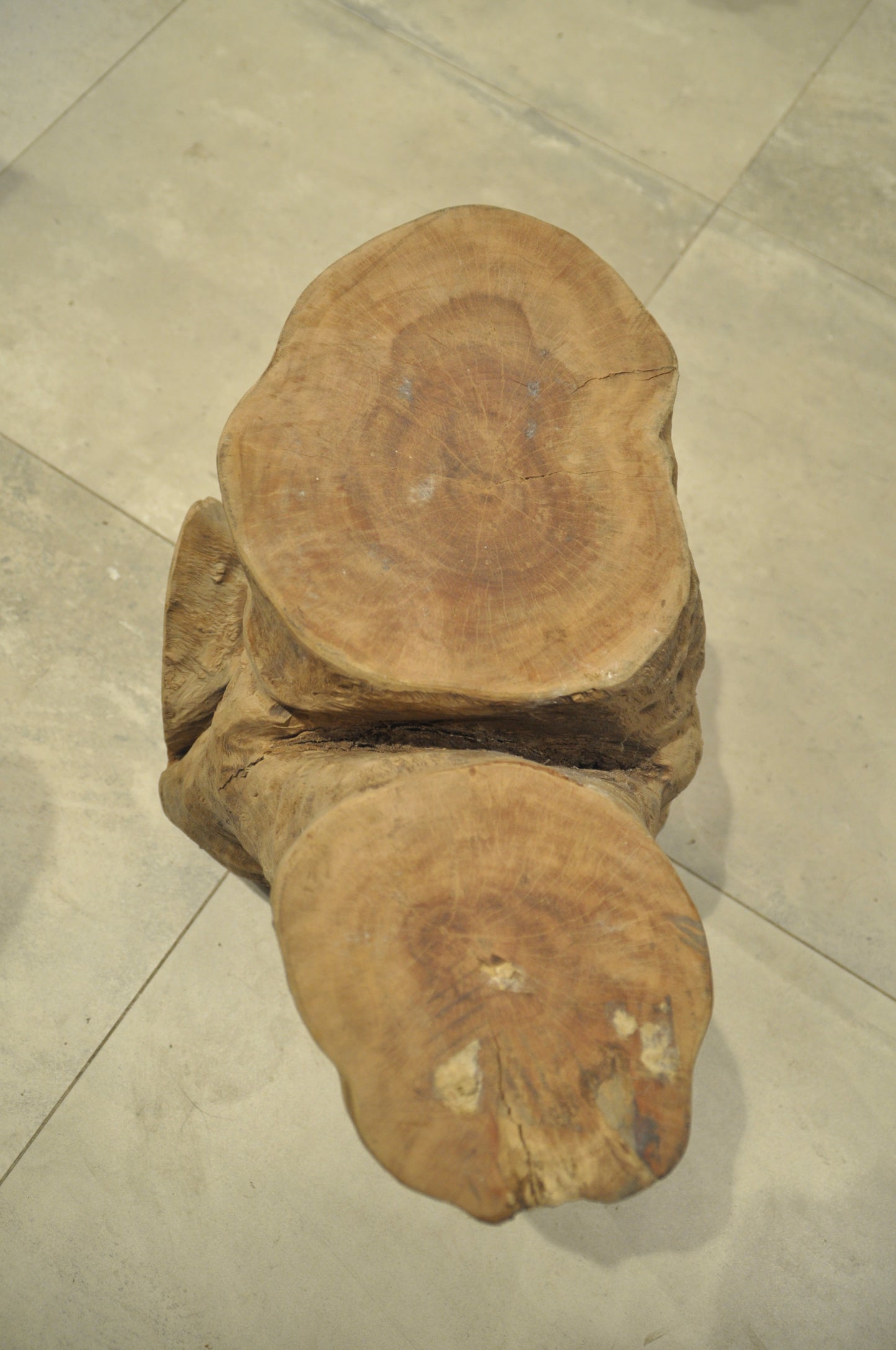 Ancient Tropical hardwood structure