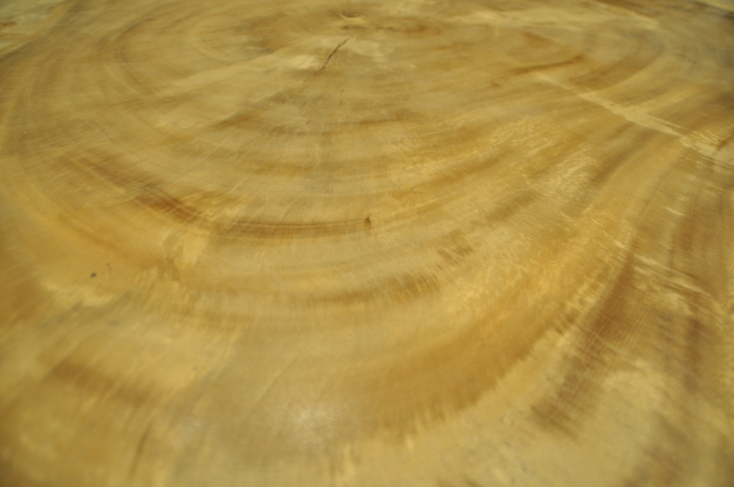 Coffee table suarwood