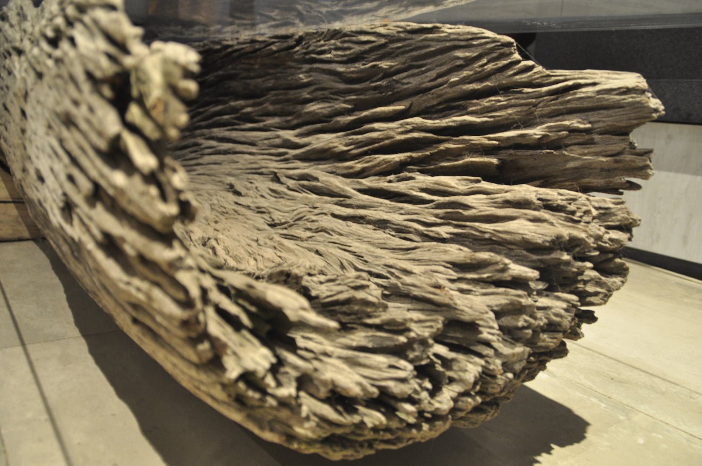 Ancient Floating Tree
