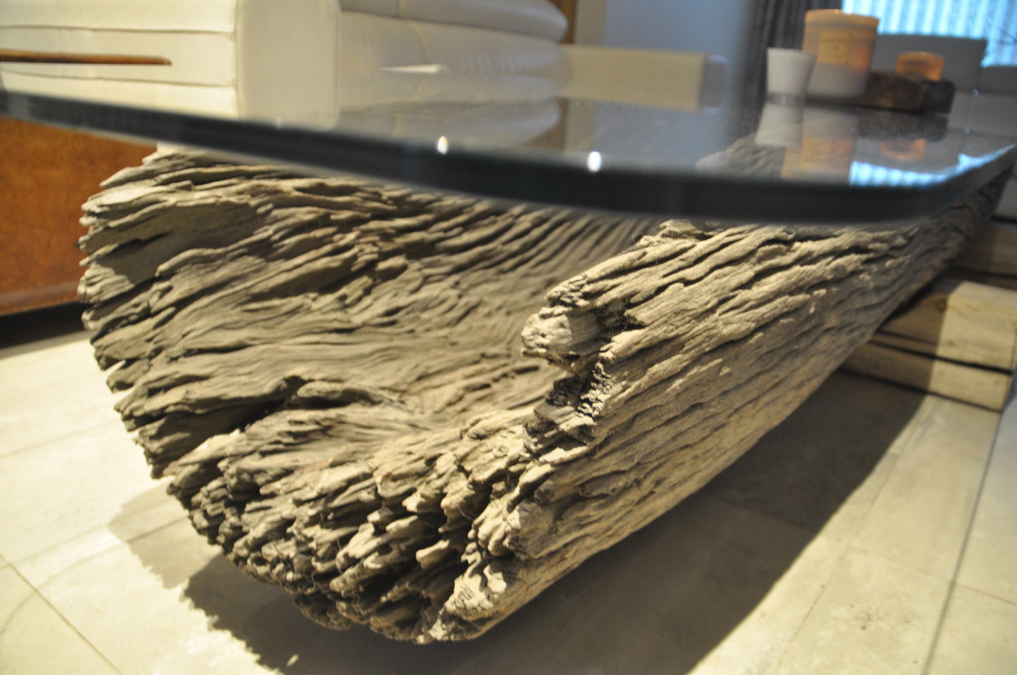 Ancient Floating Tree