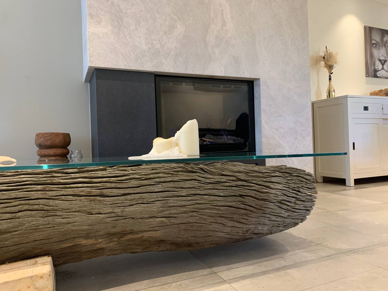 Ancient Floating Tree