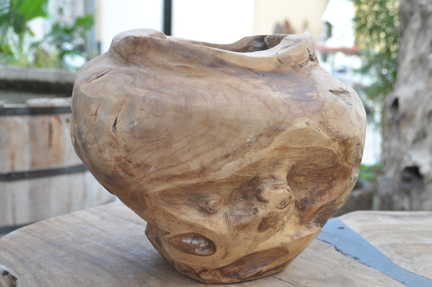 Teak root Bowl