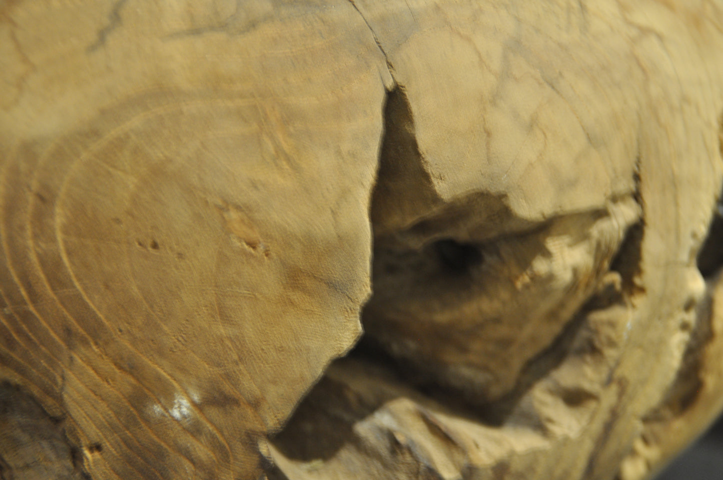 Teak root Bowl