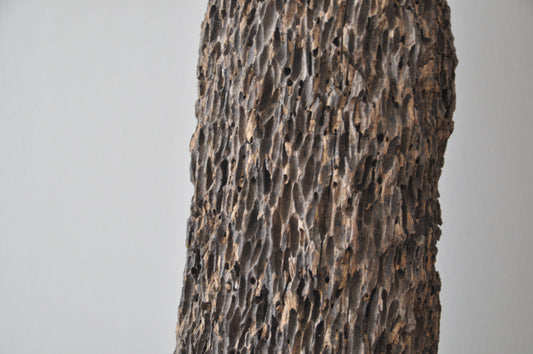 Erosionized teak, salt water