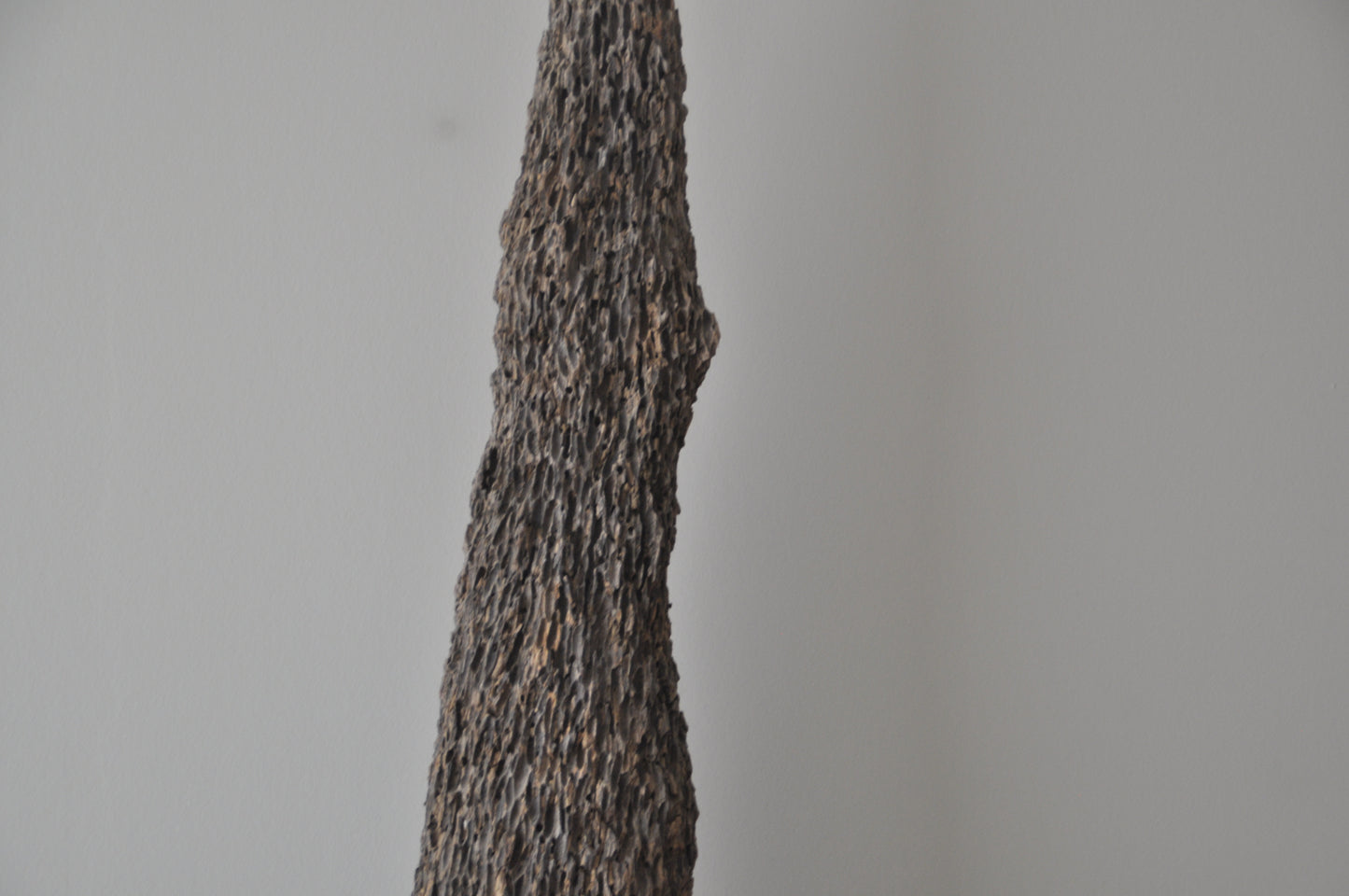 Erosionized teak, salt water